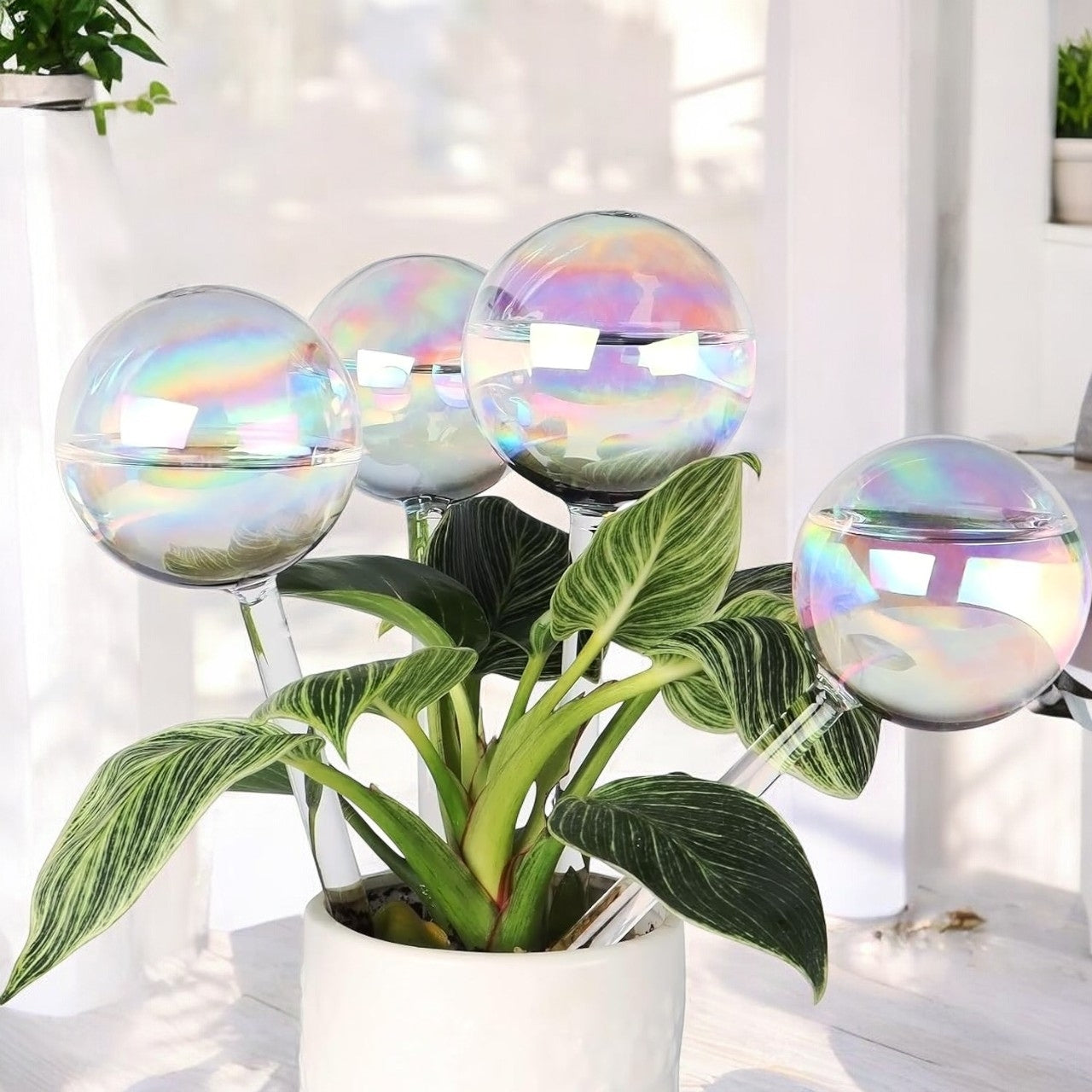 Self Watering Planter Insert – Ecofynd
