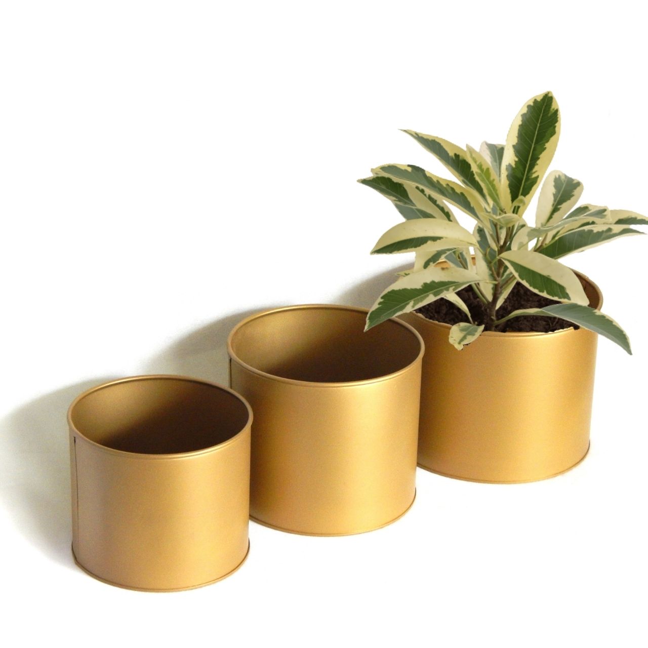 gold plant pot amazon Centuria Metal Plant Pots – Ecofynd