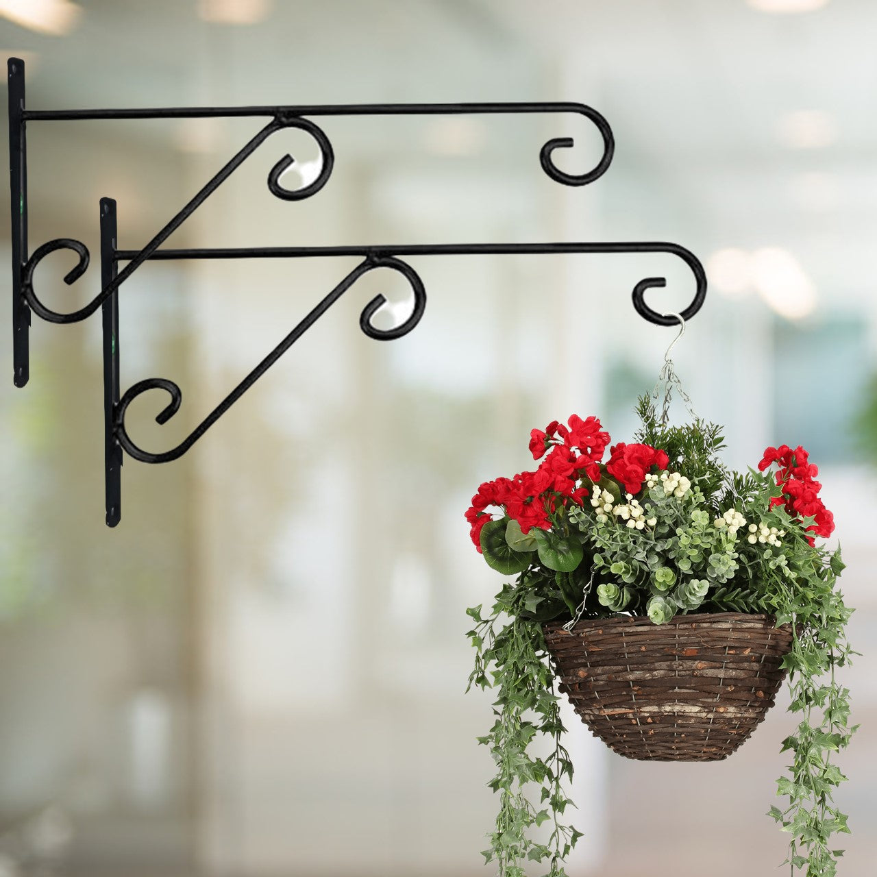 metal wall hanger for plants Elegant Curve – Metal Wall Hook Plant Bracket by Ecofynd