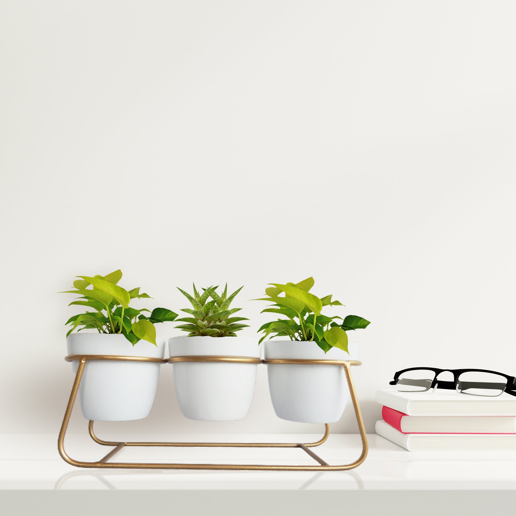 white plant pot with gold stand Ecofynd Bella White Metal Plant Pot with Gold Stand – Modern Indoor De
