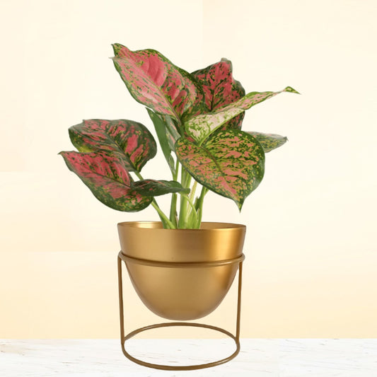 Alle Gold Metal Plant Pot with Stand