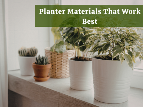Planter Materials That Work Best as Weather Starts Warming