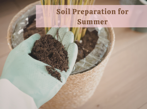 Soil Prep for Summer: What You Should Add Before Temperatures Peak
