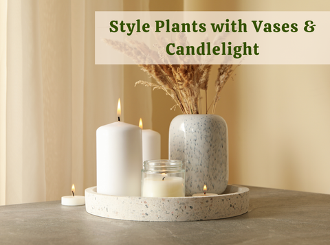 Styling Indoor Plants with Vases & Candlelight