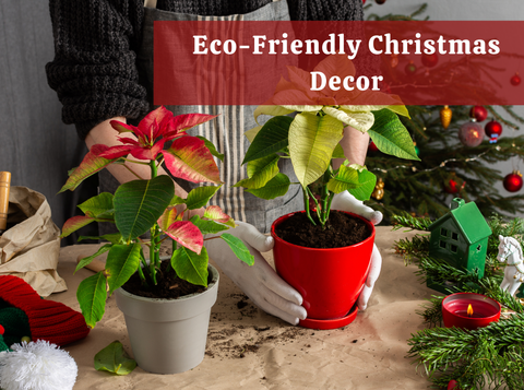 Eco-Friendly Christmas Decor Using Garden Elements