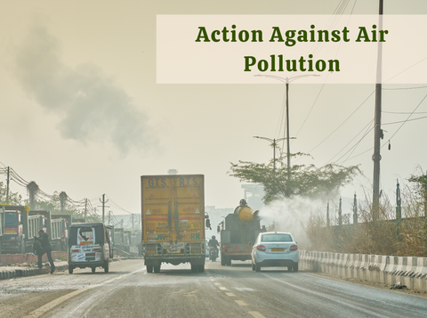 Why Individual Action Still Matters: Fighting Pollution Starts at Home