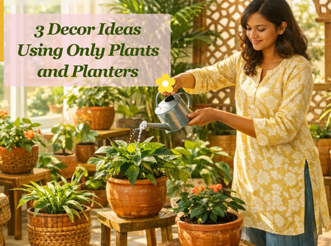 3 Decor Ideas Using Only Plants and Planters