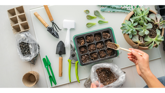 Green Your Space: A Comprehensive Guide to Maximizing Your Ecofynd DIY Plant Grow Kit