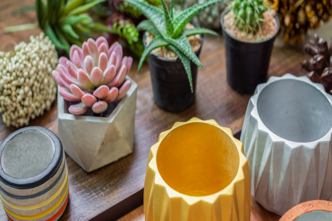 Different Types of Pots or Planters for Your Plants
