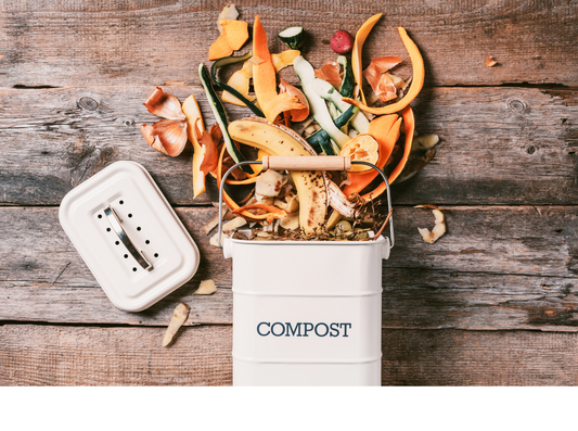 Composting 101: How to Turn Kitchen Waste into Gold