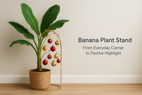 Banana Plant Stand: From Everyday Corner to Festive Highlight