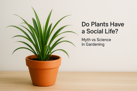 Do Plants Have a Social Life? Myth vs Science in Gardening