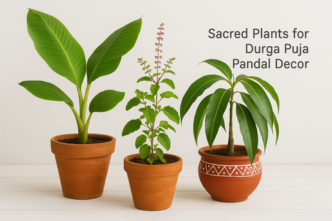 Sacred Plants for Durga Puja Pandal Decor