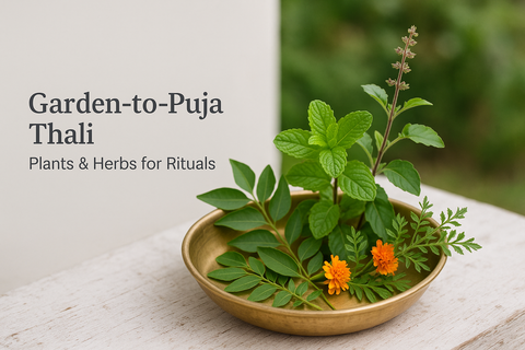 Garden-to-Puja Thali: Plants & Herbs for Rituals