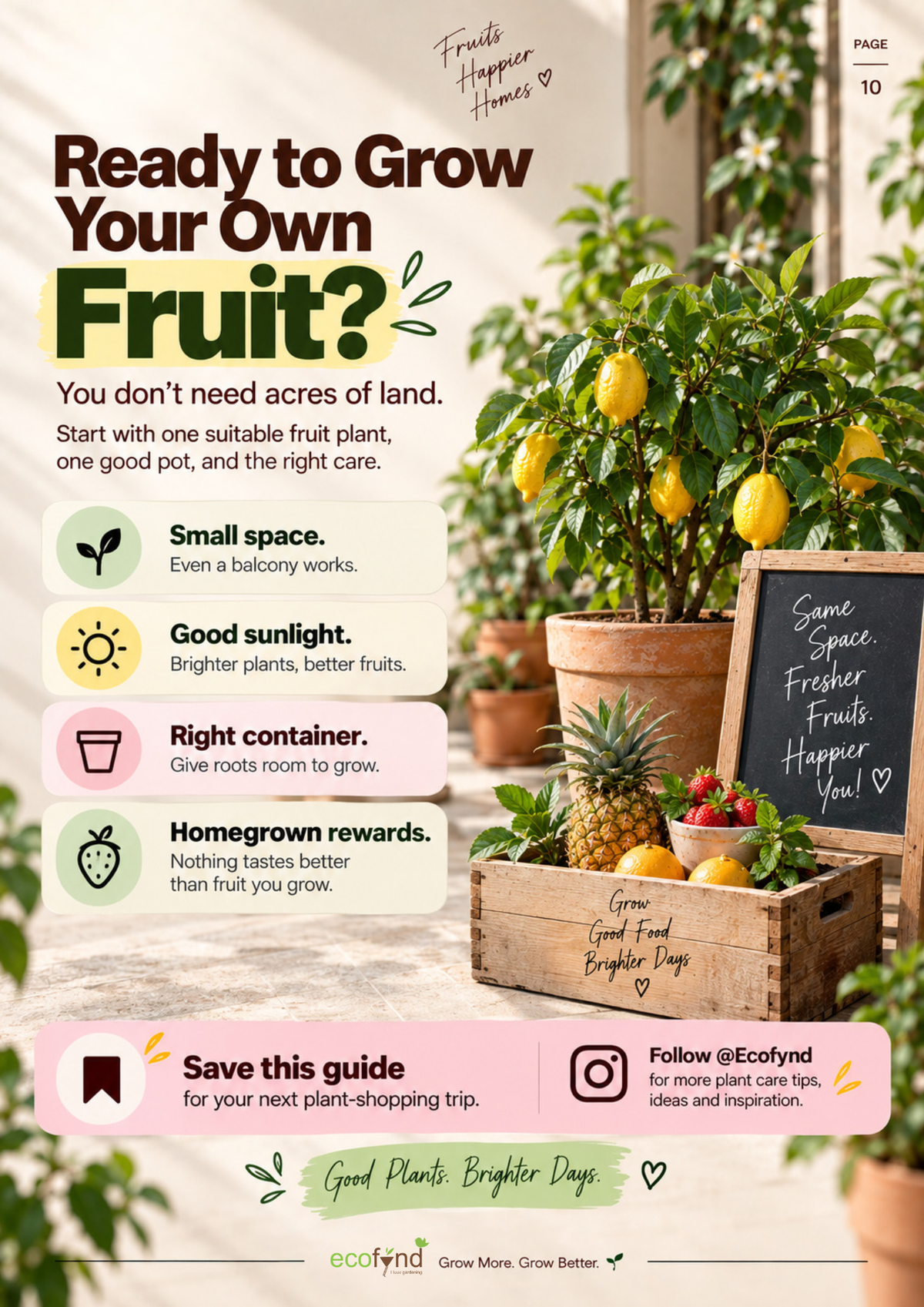 Ecofynd closing page encouraging readers to grow their own fruit with small space, good sunlight, the right container and homegrown rewards
