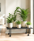 ecofynd Scot 35 Inch Plant Stand with Wheels for Outdoor Balcony