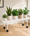 ecofynd Scot 35 Inch Plant Stand with Wheels for Outdoor Balcony