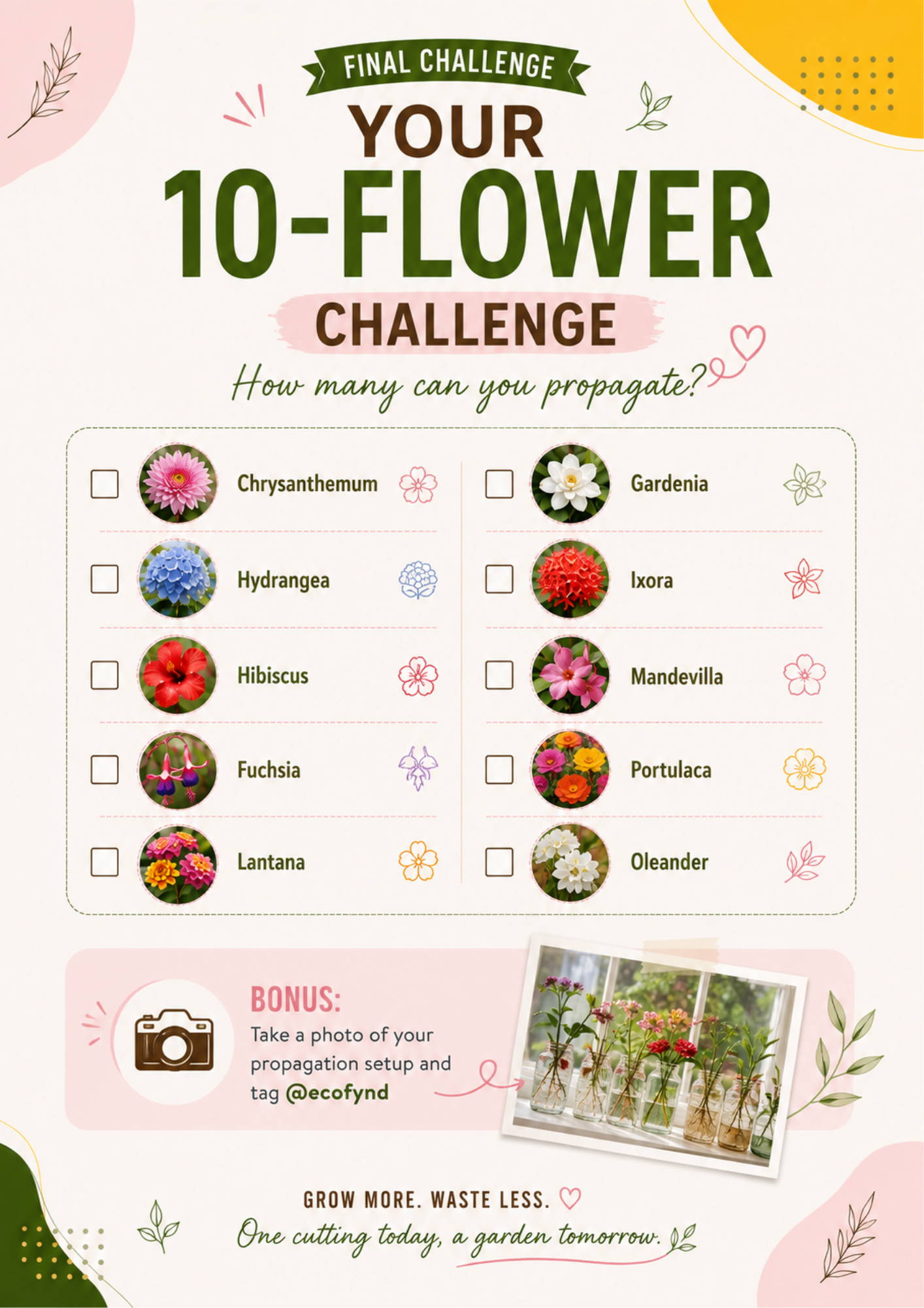 Ecofynd 10-flower water propagation challenge featuring Chrysanthemum, Hydrangea, Hibiscus, Fuchsia, Lantana, Gardenia, Ixora, Mandevilla, Portulaca and Oleander