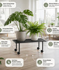 ecofynd Scot 35 Inch Plant Stand with Wheels for Outdoor Balcony
