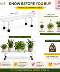 ecofynd Scot 35 Inch Plant Stand with Wheels for Outdoor Balcony