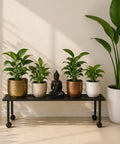 ecofynd Scot 35 Inch Plant Stand with Wheels for Outdoor Balcony