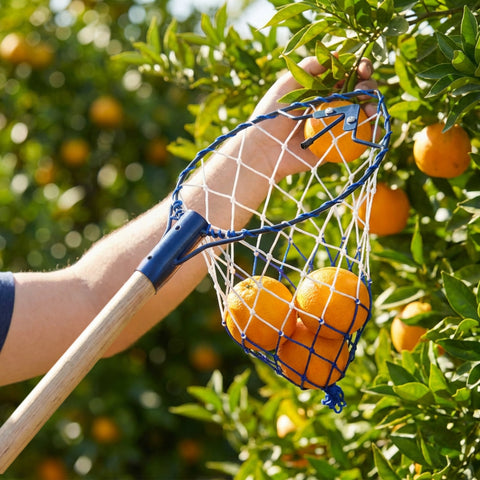 ecofynd Ecofynd Blue Fruit Picker Net for Mangoes & Tree Fruit Harvesting