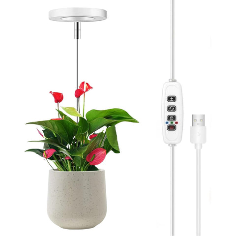 small plant grow light Lumi Grow Light for Indoor Plants
