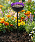 ecofynd Ecofynd Bee Watering Station with Decorative Garden Stake (Purple)
