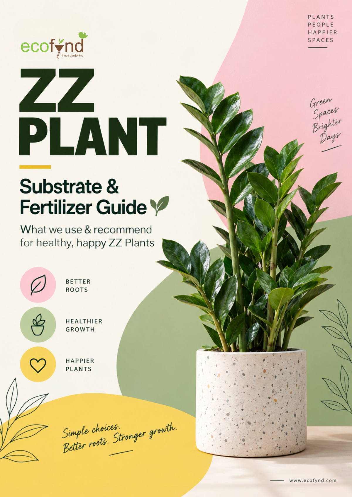 Ecofynd ZZ Plant Substrate and Fertilizer Guide cover featuring a healthy ZZ plant
