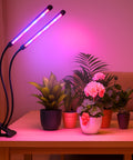 ecofynd Bluma Grow Light for Indoor Plants | Dual Spectrum LED with Adjustable Pole