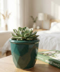 ecofynd Ecofynd Dark Green 4.3 Inch Cachepot Planter with Drainage Hole for Desk