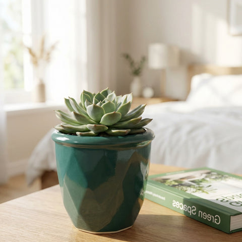 ecofynd Ecofynd Dark Green 4.3 Inch Cachepot Planter with Drainage Hole for Desk