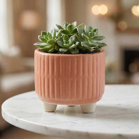 ecofynd Ecofynd Peach 3.5 Inch Ribbed Ceramic Cachepot Planter with Drainage Hole
