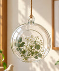 ecofynd Hanging Glass Planter – Cut Sphere Design | Clear Transparent Glass, Medium