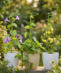 ecofynd Light Green Metal Plant Trellis – 18 Inch Rust-Resistant Stake