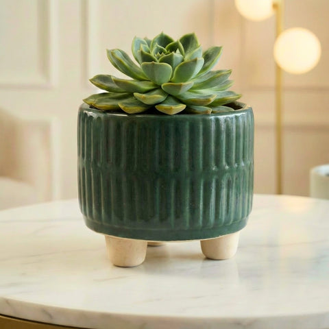 ecofynd Ecofynd Dark Green 3.5 Inch Ribbed Ceramic Cachepot Planter with Drainage Hole