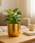 ecofynd 5 Inch Ivara Metal Plant Pots