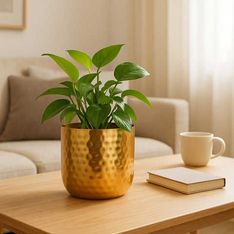 ecofynd 5 Inch Ivara Metal Plant Pots