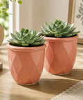 ecofynd 4 Inch Ceramic Plant Pots with Drainage Hole