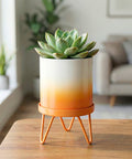 ecofynd Ecofynd Lucas Tabletop Metal Planter with Orange Stand