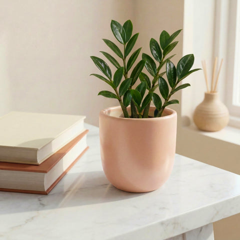 ecofynd Ecofynd Blush Pink 5 inch Ceramic Cachepot Planter for Indoor Plants