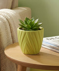 ecofynd Ecofynd Light Green Twisted 4 Inch Ceramic Cachepot Planter for Indoor Plants