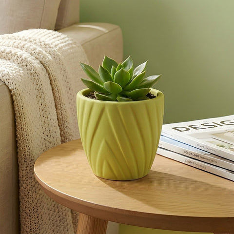 ecofynd Ecofynd Light Green Twisted 4 Inch Ceramic Cachepot Planter for Indoor Plants