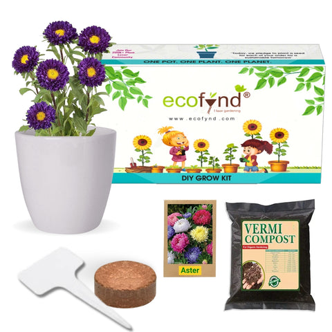 one pot plant planet DIY Grow Kit for Aster Mix Plant