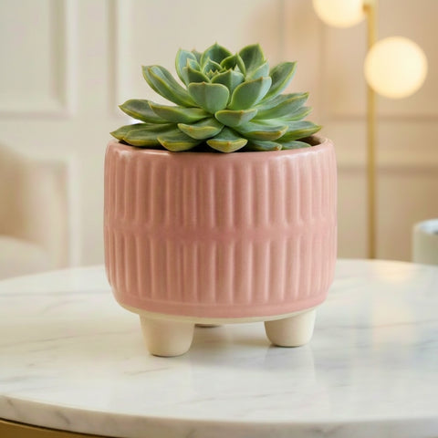 ecofynd Ecofynd Pink 3.5 Inch Ribbed Ceramic Cachepot Planter with Drainage Hole