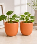 ecofynd 5 Inch Ceramic Plant Pots with Drainage Hole