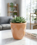 ecofynd Ecofynd Peach 4.3 Inch Cachepot Planter with Drainage Hole for Desk