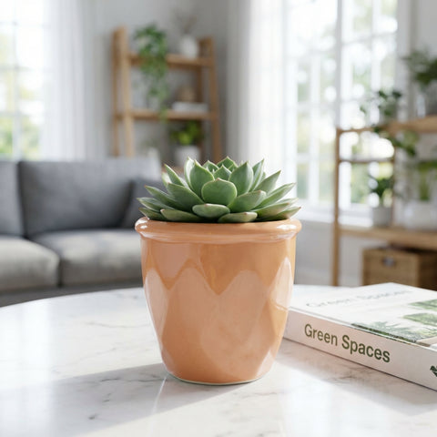ecofynd Ecofynd Peach 4.3 Inch Cachepot Planter with Drainage Hole for Desk
