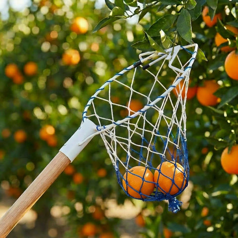 ecofynd Ecofynd White Fruit Picker Net for Mangoes & Tree Fruit Harvesting