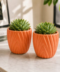 ecofynd 4 Inch Ceramic Plant Pots with Drainage Hole